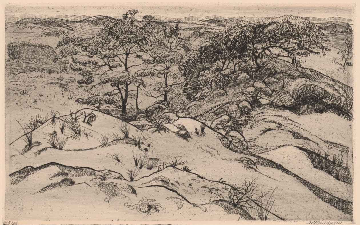 dyyni maisema tekijältä Willem Jansen (graveur) (signed by artist)