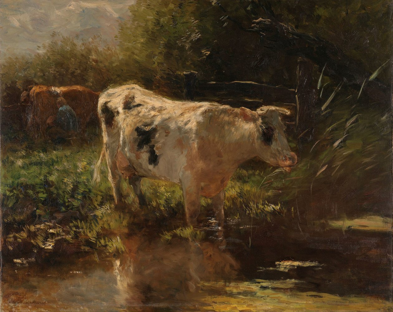 Lehmä ojan vieressä Lehmä ojan puolella tekijältä Willem Maris