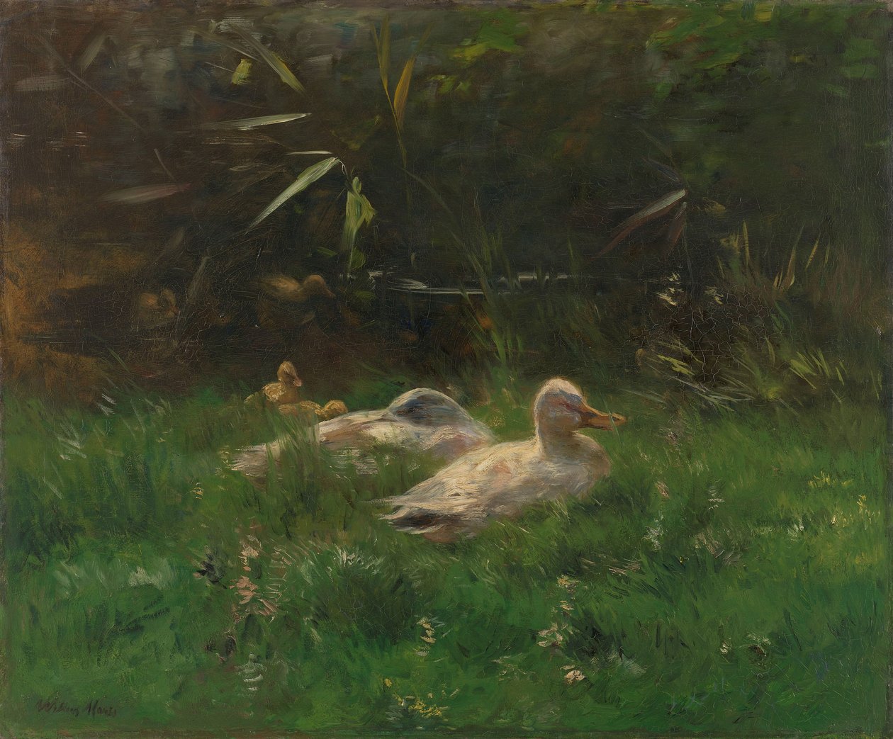  tekijältä Willem Maris