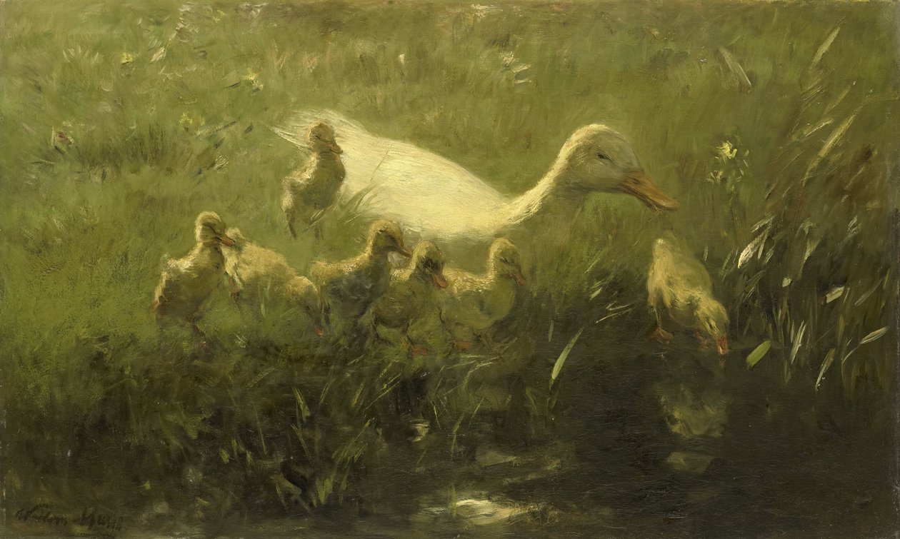 Valkoinen ankka poikasten kanssa tekijältä Willem Maris