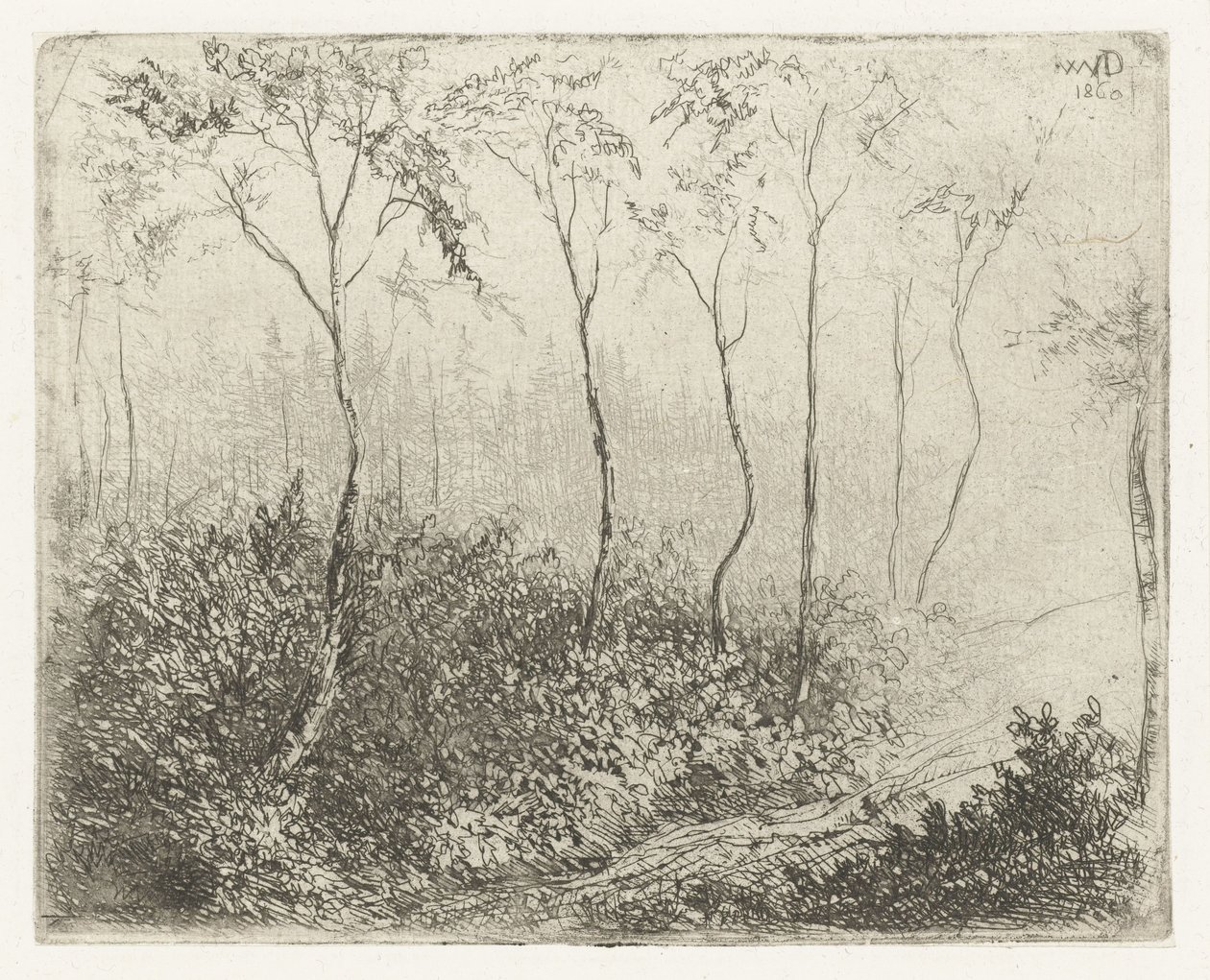 metsäinen maisema tekijältä Willem Matthias Jan van Dielen