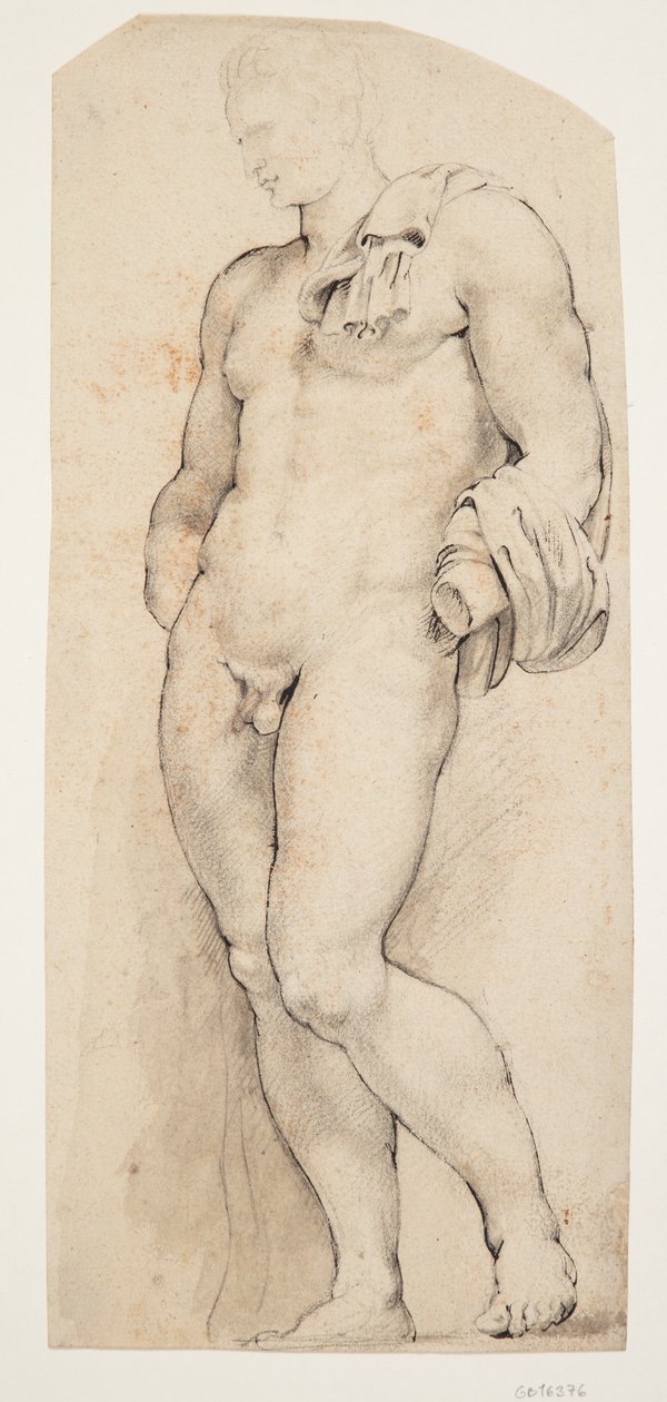 Puoliksi nähdyn antiikkiveistoksen "Belvedere Antinous" etupuoli kääntyi vasemmalle tekijältä Willem Panneels