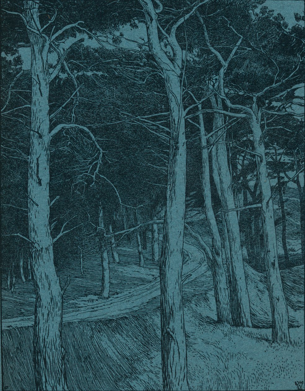 Woodland, vuodelta 1912 tekijältä Willem Wenckebach