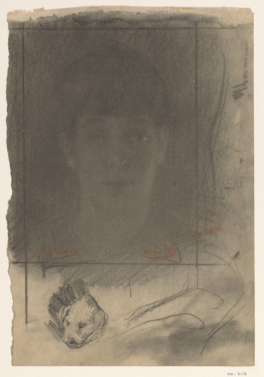 Muotokuva, yksi kasvo tekijältä Willem Arnoldus Witsen