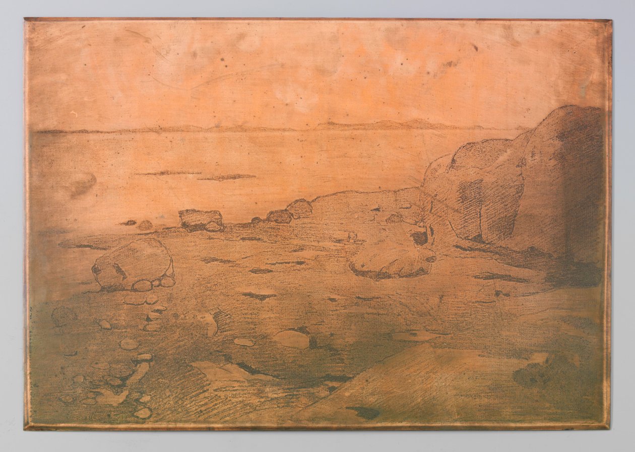 Rocky Coast St Andrewsissa, Kanadassa tekijältä Willem Arnoldus Witsen