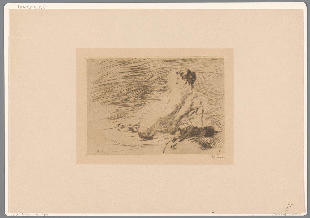 Makaava alaston nainen Makaava alaston (alkuperäinen nimi) tekijältä Willem de Zwart (signed by artist)