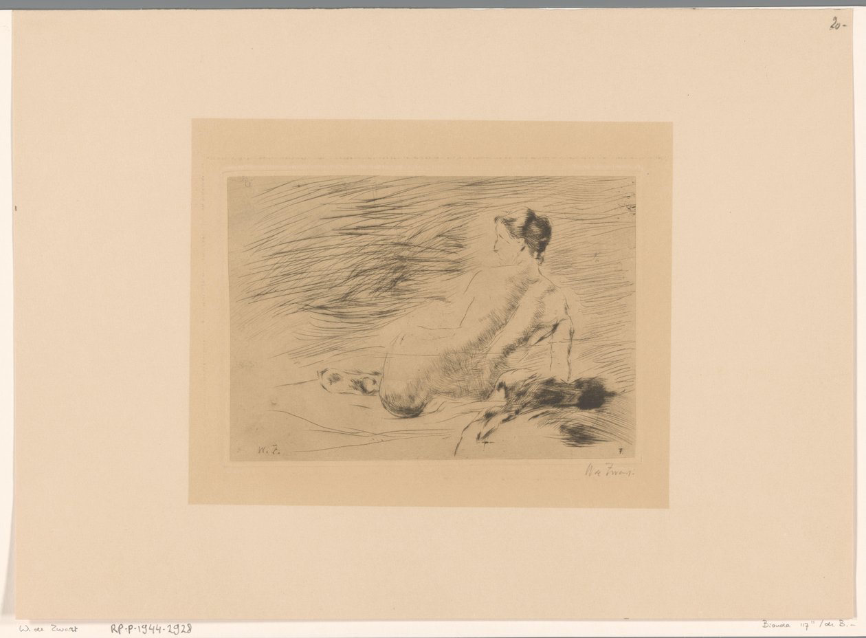Makaava alaston nainen Makaava alaston (alkuperäinen nimi) tekijältä Willem de Zwart (signed by artist)