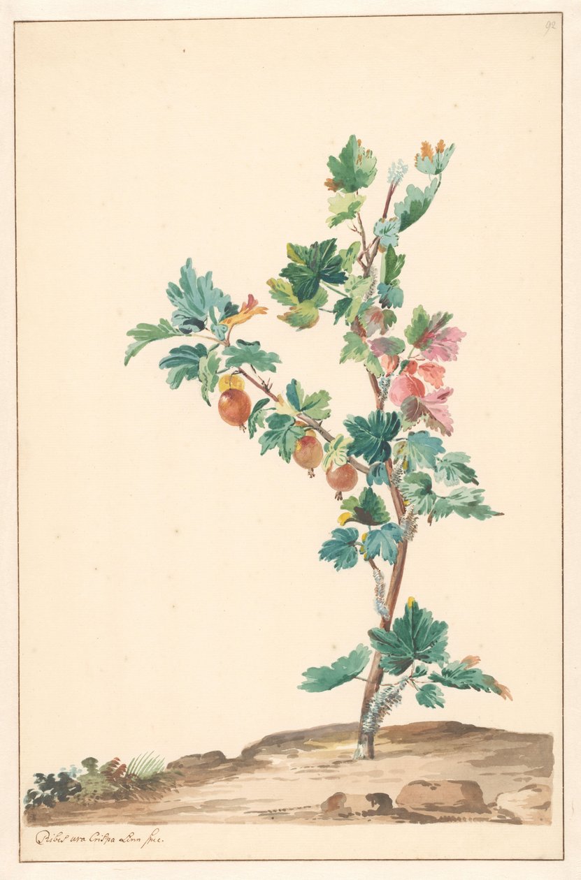 Karviainen maisemassa tekijältä Willem van Leen (attributed to)