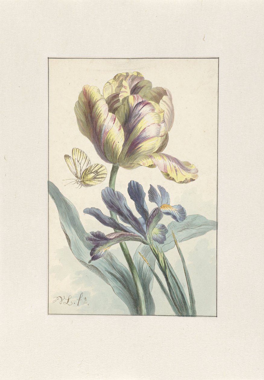 Tulppaani ja iiris tekijältä Willem van Leen