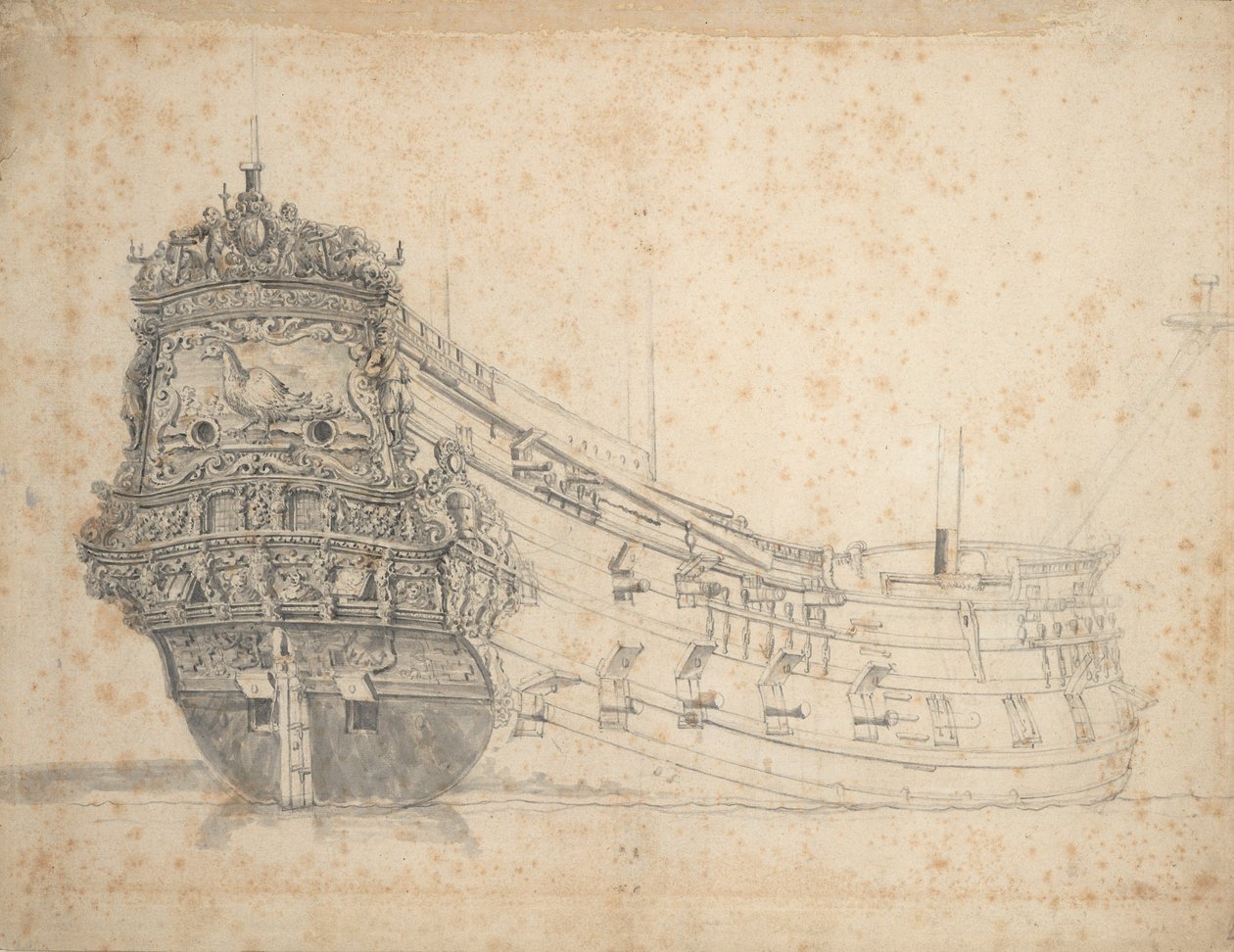 Fazantin muotokuva, noin 1655 (grafiitti, harmaa pesu). tekijältä Willem van de the Elder Velde