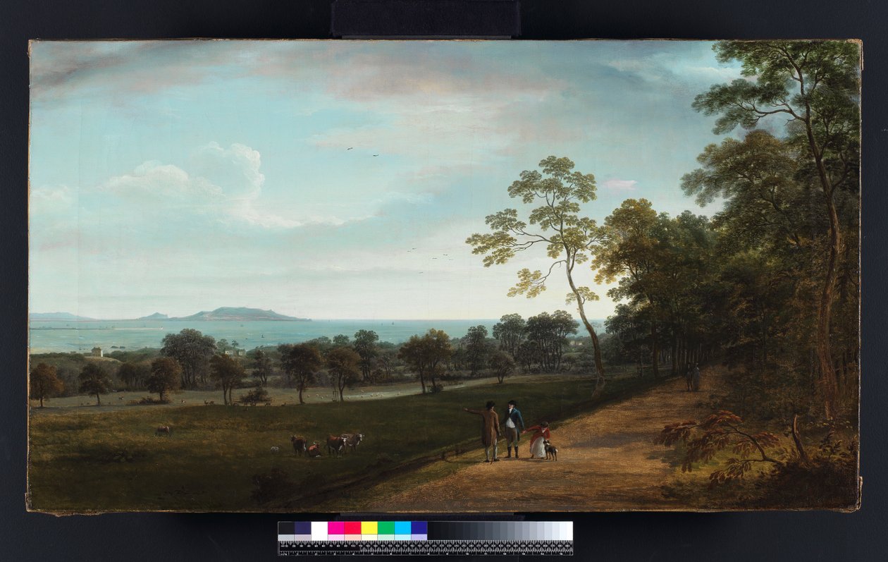 Näkymä Mount Merrion Parkissa, 1806 tekijältä William Ashford