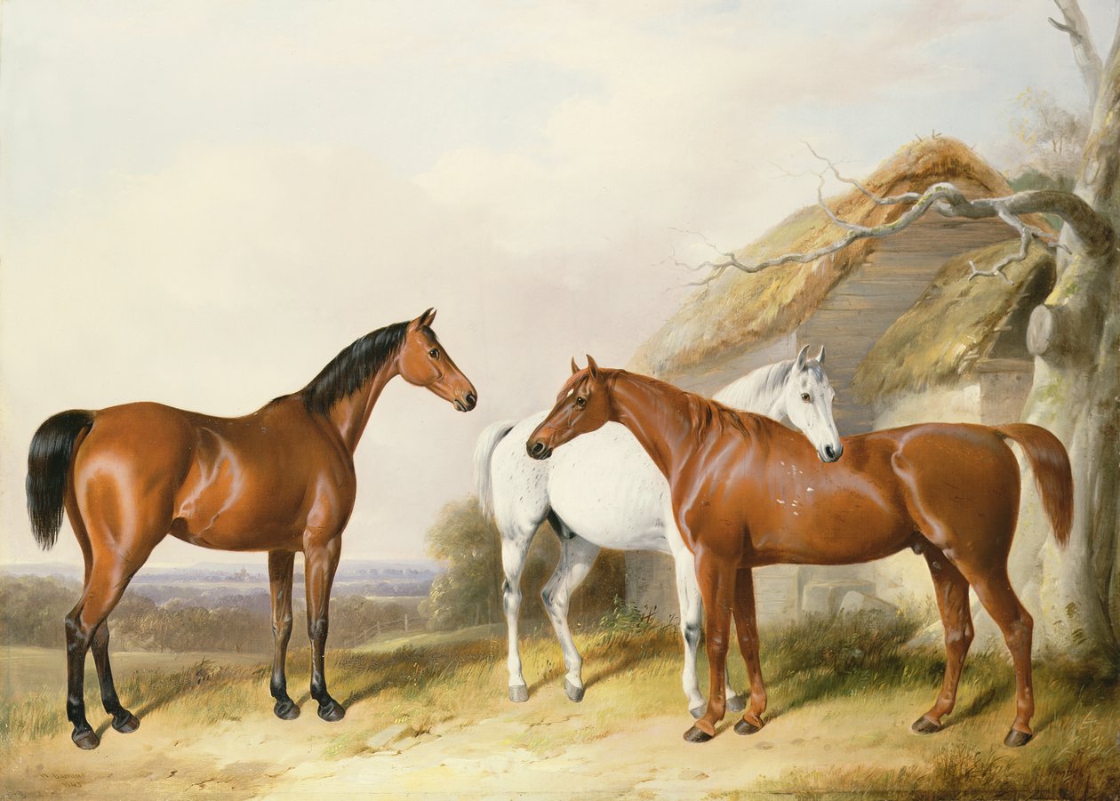 Tallin ulkopuolella, 1845 tekijältä William Barraud