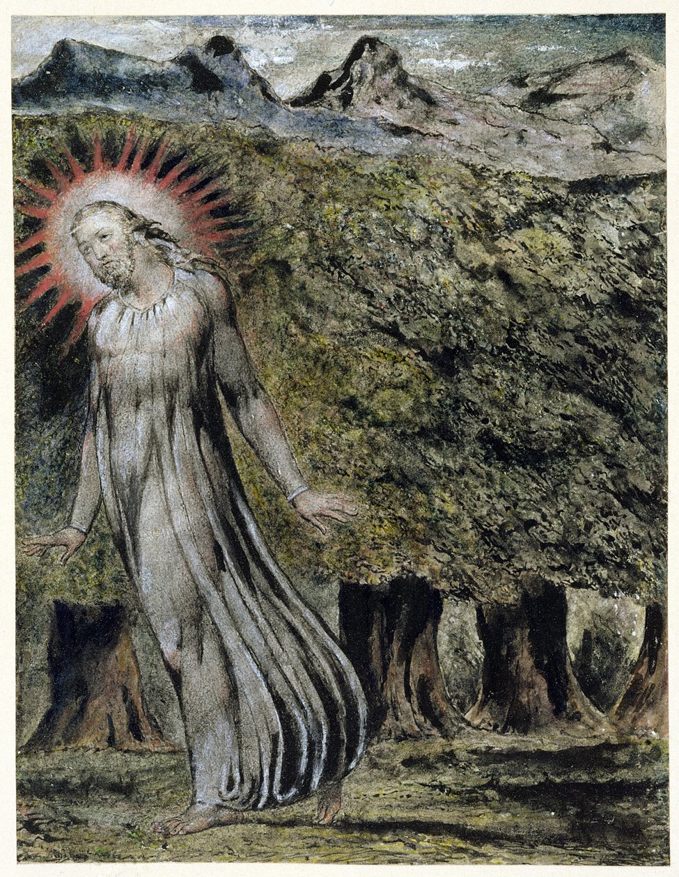 Profeetta erämaassa (kynä ja muste guassilla paperilla) tekijältä William Blake