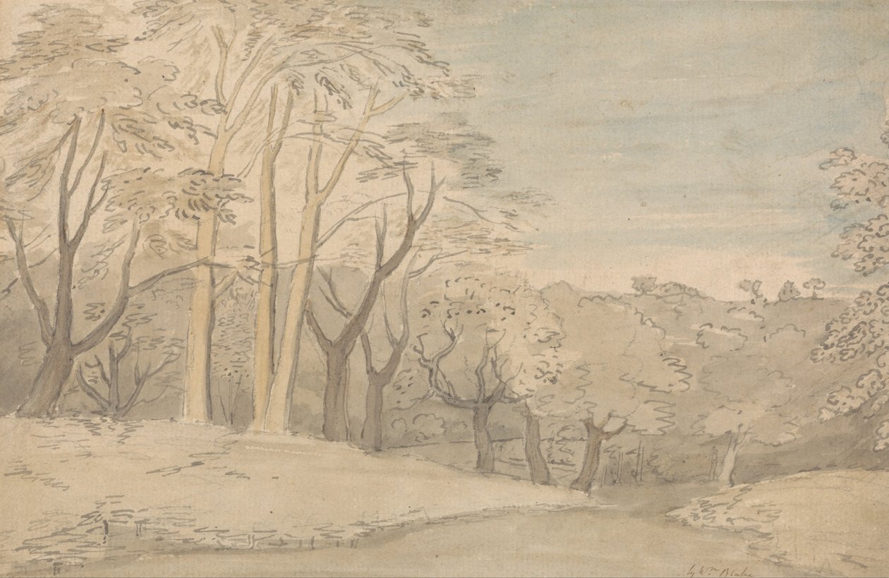 Puinen maisema tekijältä William Blake