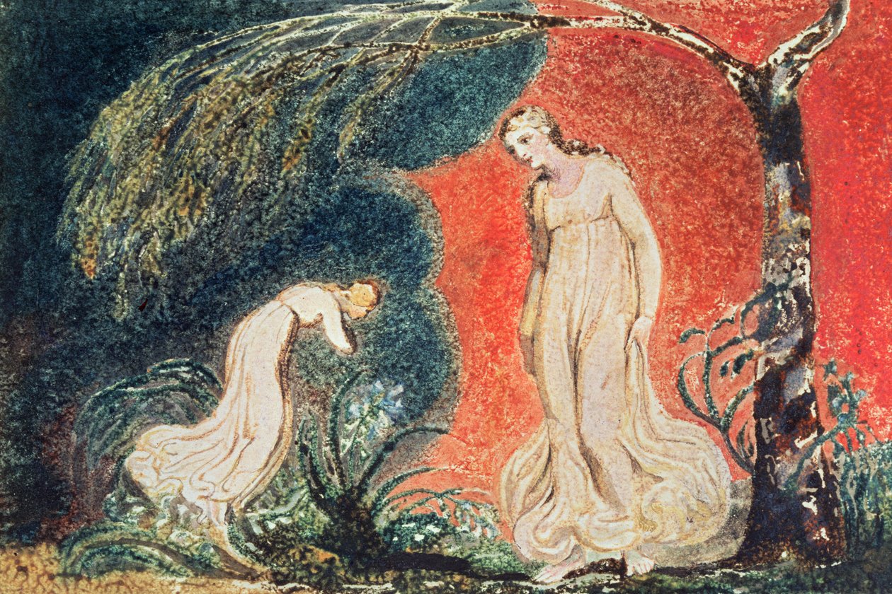 Kirja Thel; Lilja kumartaa Thelin edessä ennen kuin lähti "muistamaan hänen lukuisia hyökkäyksiään vehreän ruohon keskellä", 1789 (väripainettu kohokuvio, wc) tekijältä William Blake