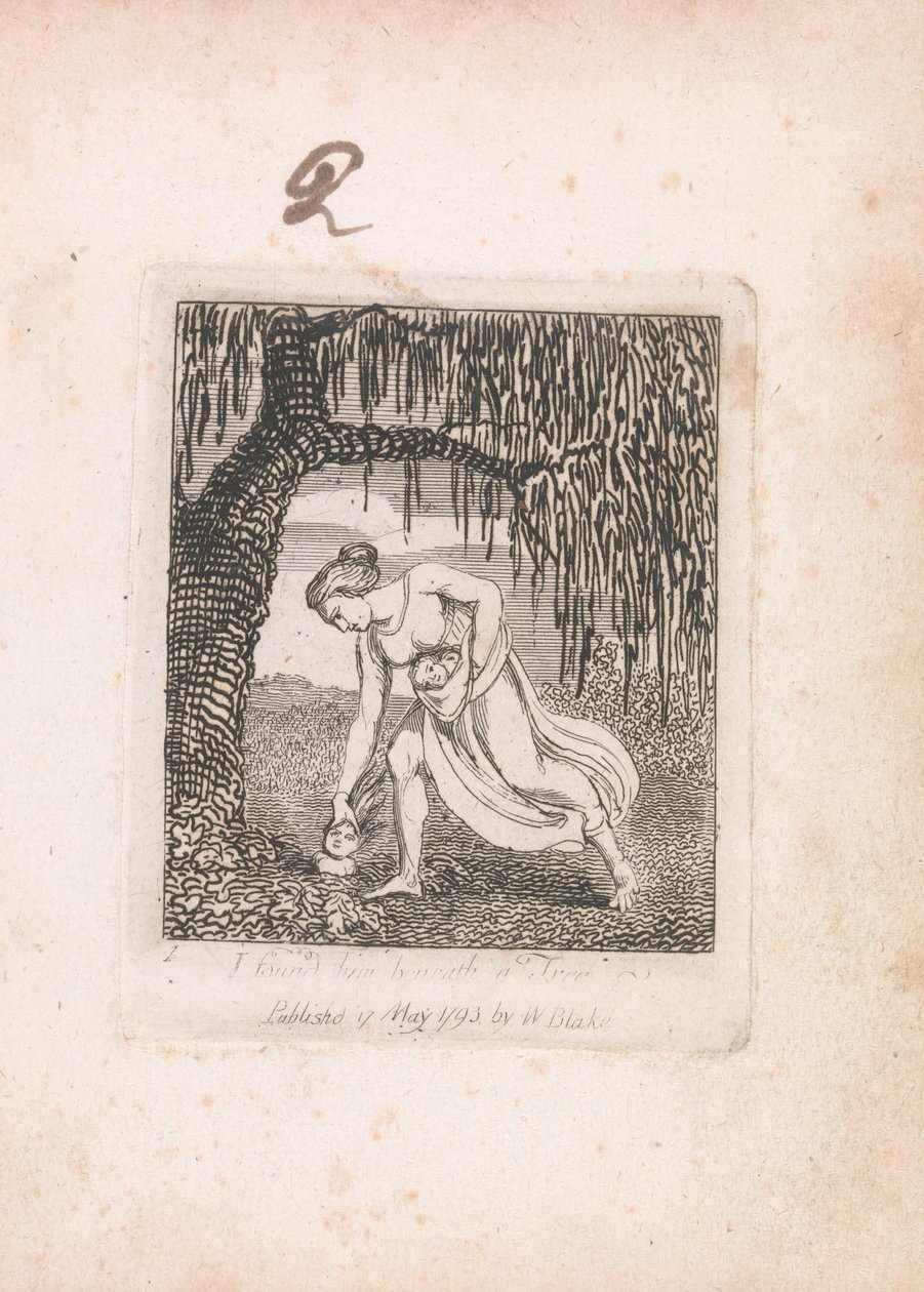 Lapsille. Paratiisin portit, levy 3, löysin hänet puun alta tekijältä William Blake
