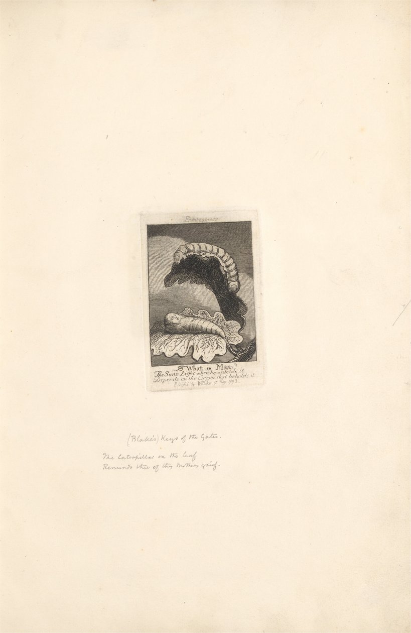 Sukupuolille- Paratiisin portit, Plate 1, Title Page tekijältä William Blake