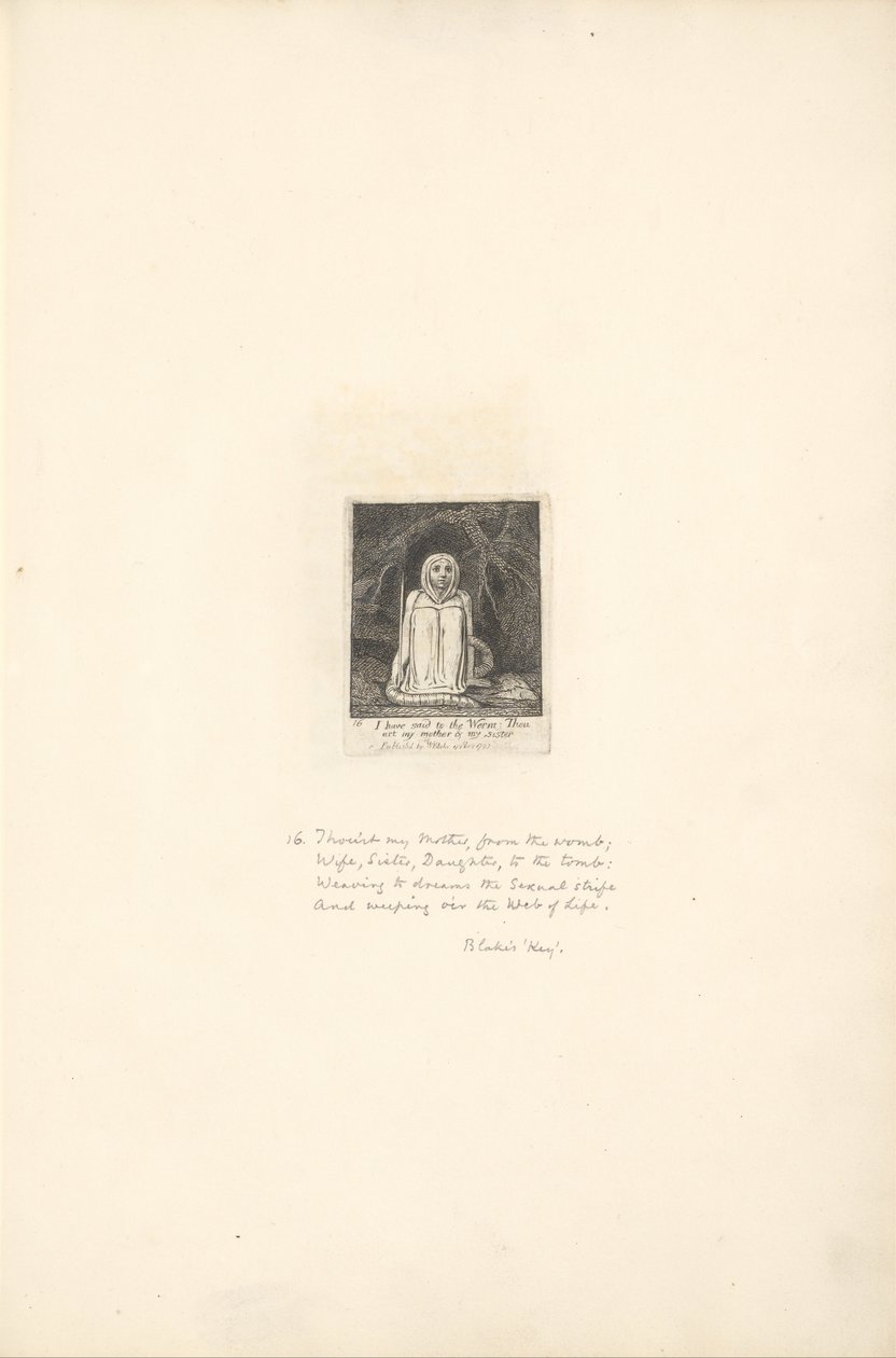 Sukupuolille- Paratiisin portit, levy 18, olen sanonut matolle. . . . tekijältä William Blake