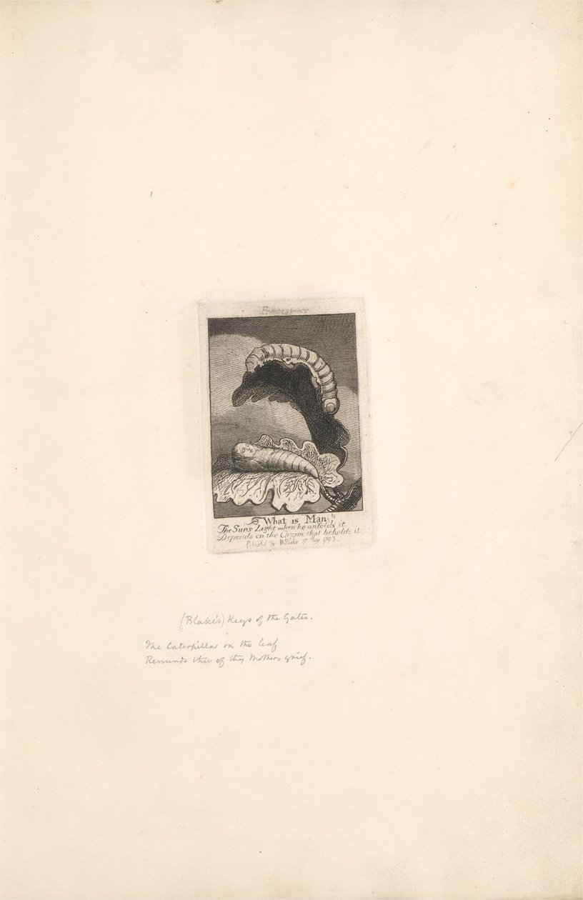 Sukupuolille- Paratiisin portit, Plate 2, Frontispiece, What is Man! tekijältä William Blake
