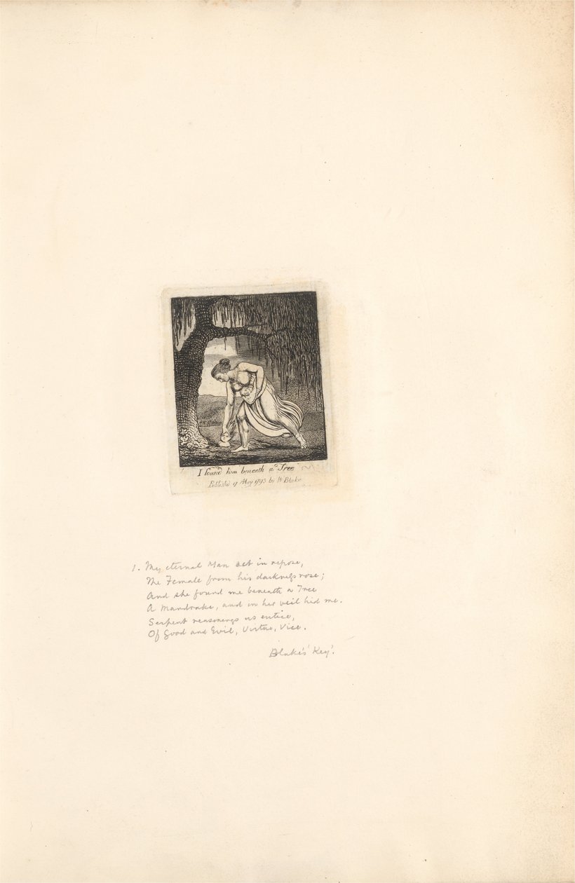 Sukupuolille- Paratiisin portit, levy 3, löysin hänet puun alla tekijältä William Blake