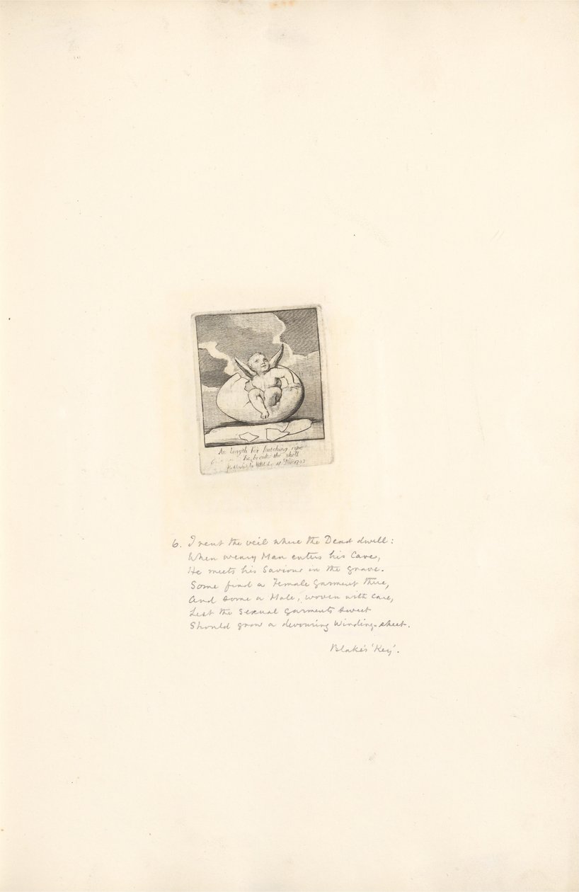 Sukupuoleen - Paratiisin portit, levy 8, Lopulta kuoriutumista varten kypsä hän rikkoo kuori tekijältä William Blake
