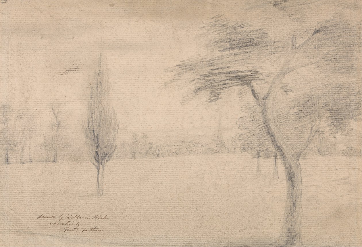 Maisema Spiren kanssa tekijältä William Blake