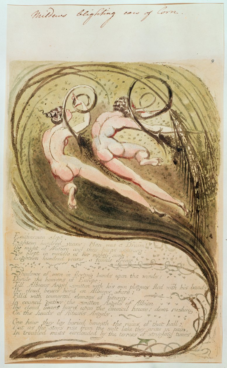 Härmämäinen maissikorvat tekijältä William Blake