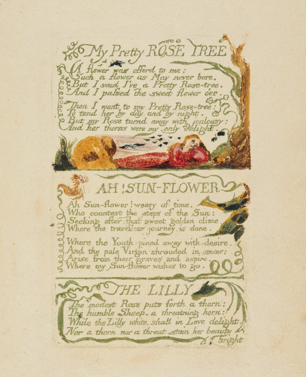 "My Pretty Rose Tree" ja "Ah! Auringonkukka" ja "Lilja" teoksesta "Songs of Experience", 1794 (reliefietsaus käsin värjättyllä ja akvarelleilla) tekijältä William Blake