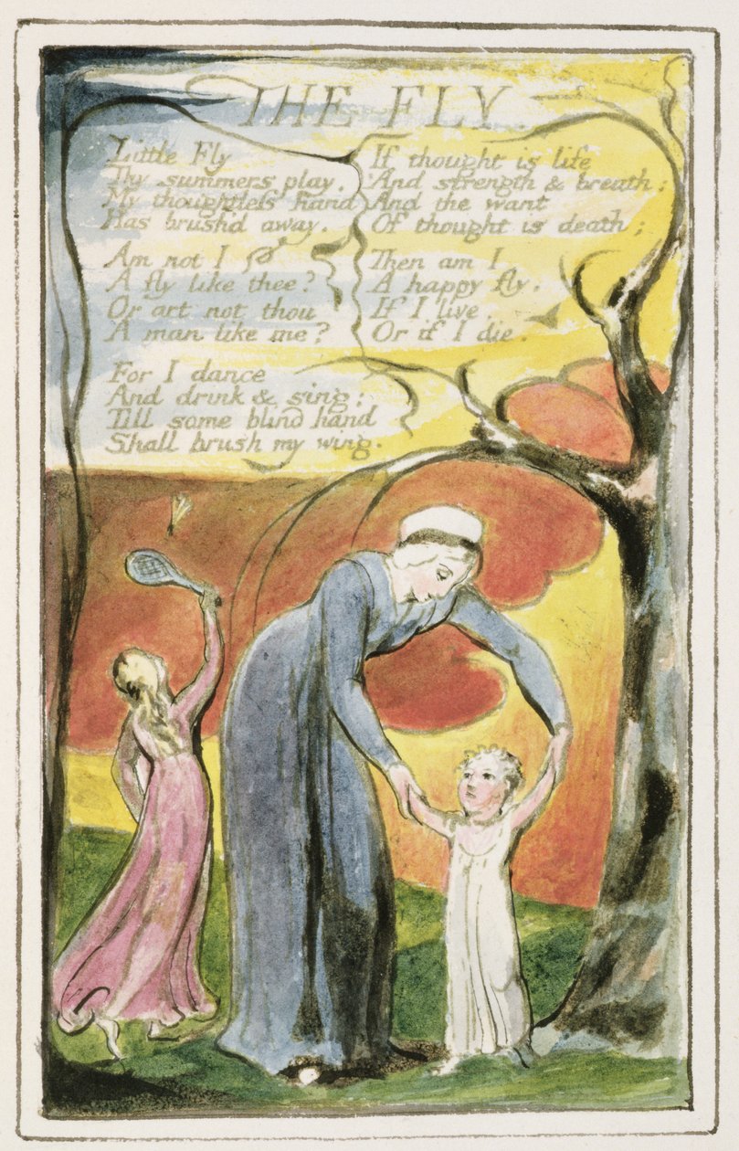 P.124-1950.pt41 The Fly: levy 41 kappaleesta "Songs of Innocence and of Experience" (kopio R) n. 1802-08 (etsaus, muste ja wc) tekijältä William Blake