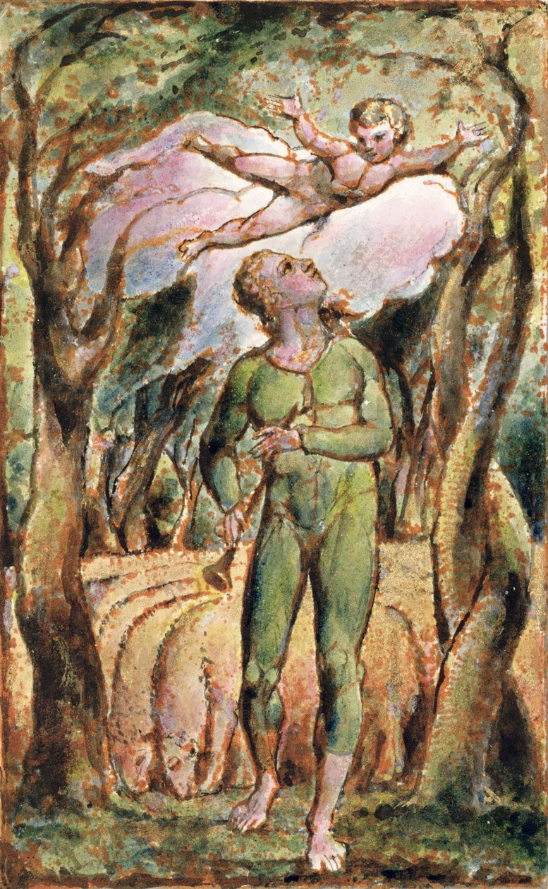 P.125-1950.pt2 Etukappale: levy 2 kappaleesta Songs of Innocence and of Experience (kopio AA) n. 1815-26 (etsaus, muste ja wc) tekijältä William Blake