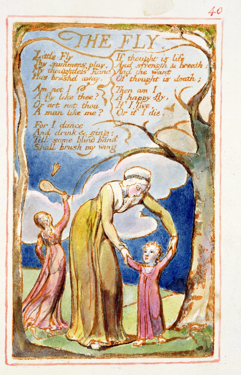 P.125-1950.pt40 The Fly: levy 40 kappaleesta Songs of Innocence and of Experience (kopio AA) n. 1815-26 (etsaus, muste ja wc) tekijältä William Blake