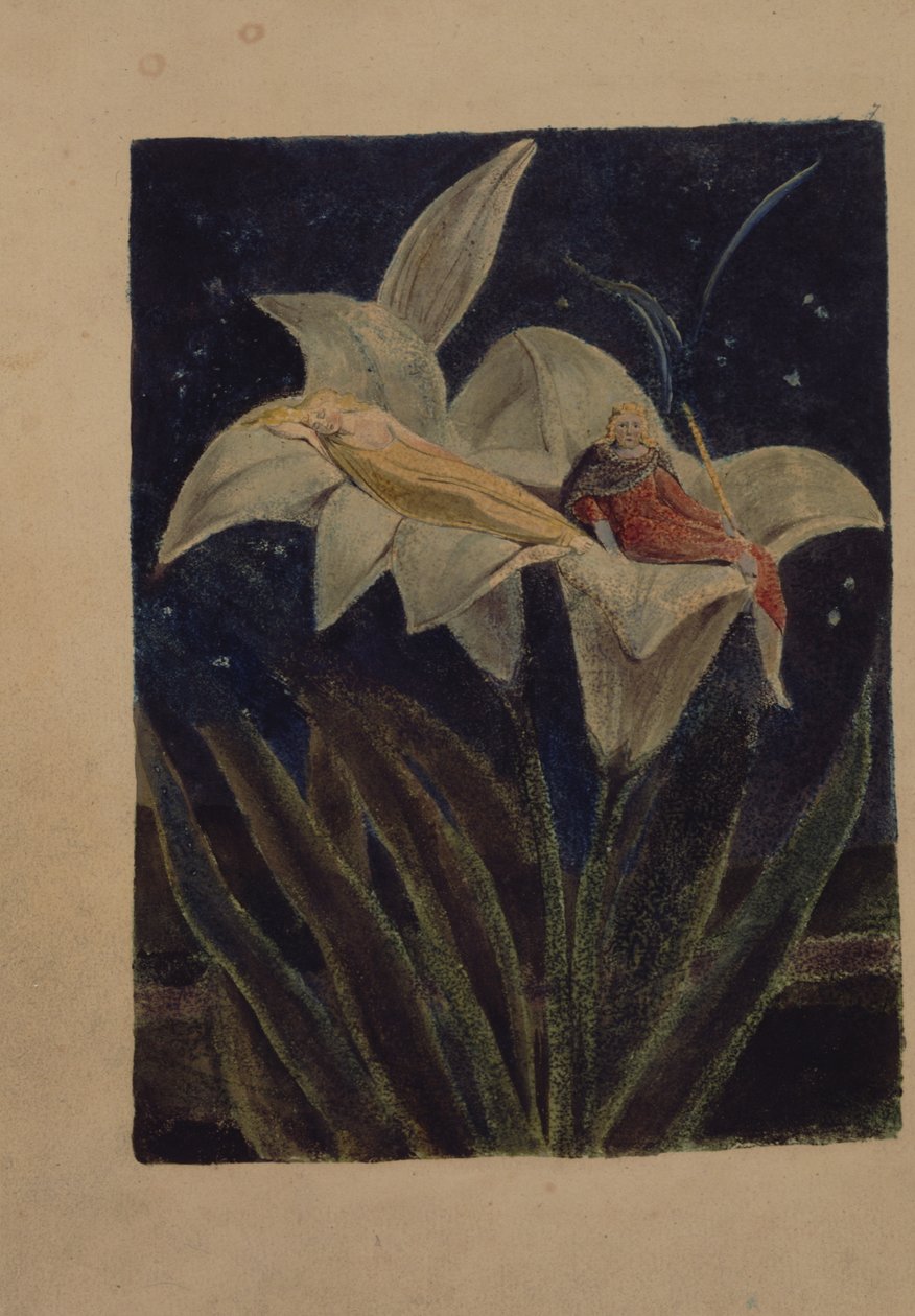 Levy 5 Losin laulusta tekijältä William Blake