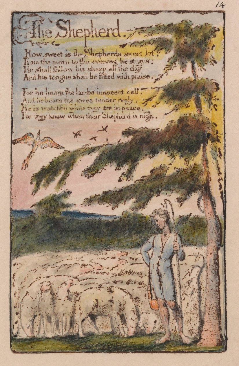 Viattomuuden ja kokemuksen lauluja, levy 14, paimen (Bentley 5) tekijältä William Blake