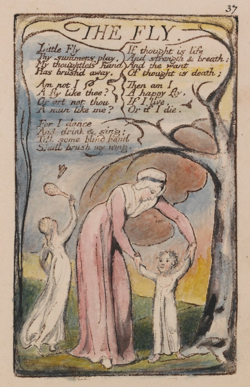 Songs of Innocence and of Experience, levy 37, perho (Bentley 40) tekijältä William Blake