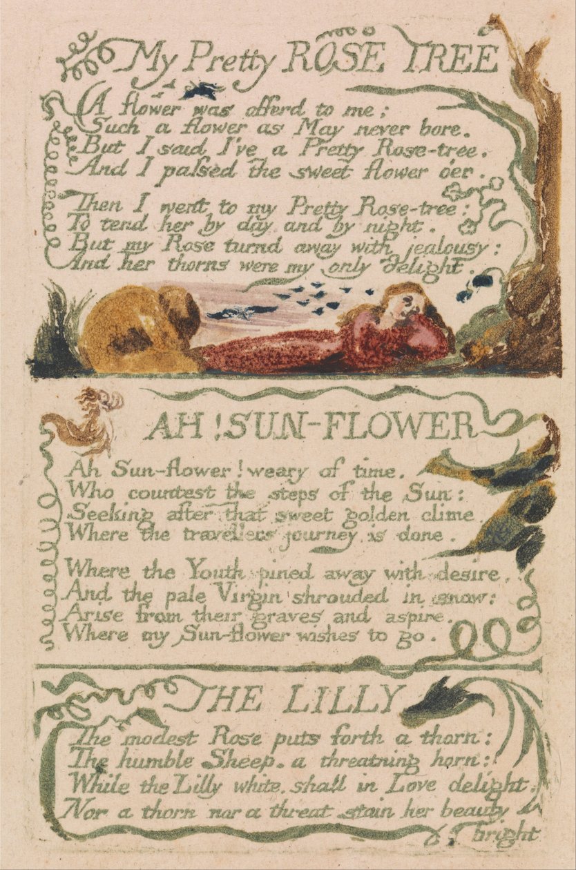 Songs of Innocence and of Experience, levy 47, My Pretty Rose Tree (Bentley 43) tekijältä William Blake