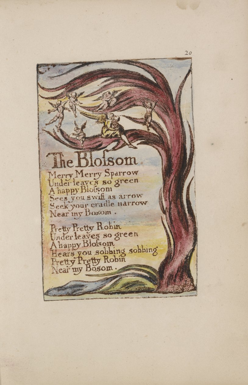 The Blossom, levy 20 julkaisusta Songs of Innocence and of Experience [Bentley 11] n. 1789-1794 (ruskeaksi painettu kohokuvio, kynällä & musteella ja wc:llä) tekijältä William Blake