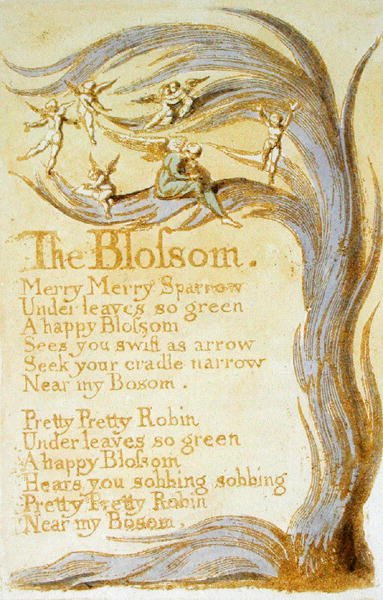 The Blossom, levy 9 julkaisusta Songs of Innocence, 1789 (reliefietsaus wc:llä paperille) tekijältä William Blake