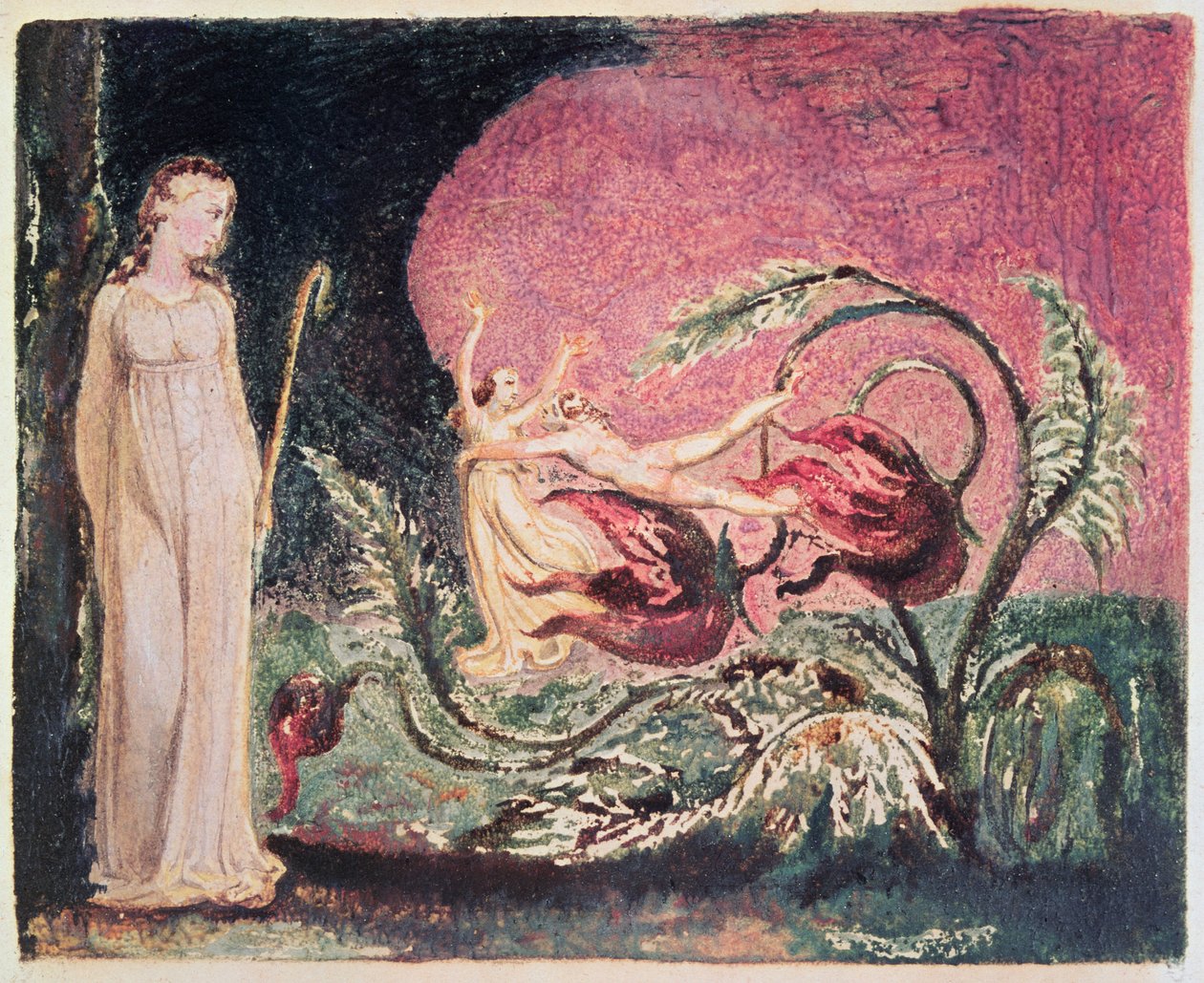 Thel-kirja: nimilehti, 1794 (väripainettu reliefietsaus) tekijältä William Blake