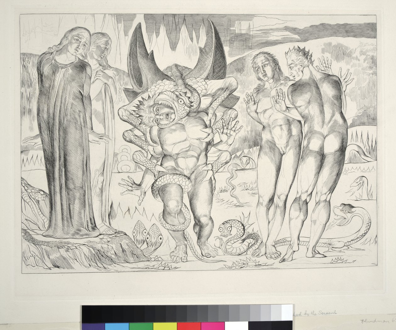 Varkaiden ympyrä: Agnolo Brunelleschi, jota kuusijalkainen käärme hyökkäsi, Inferno, Canto XXV, kuvitus Dante Alighierin jumalallisesta komediasta, 1827 tekijältä William Blake