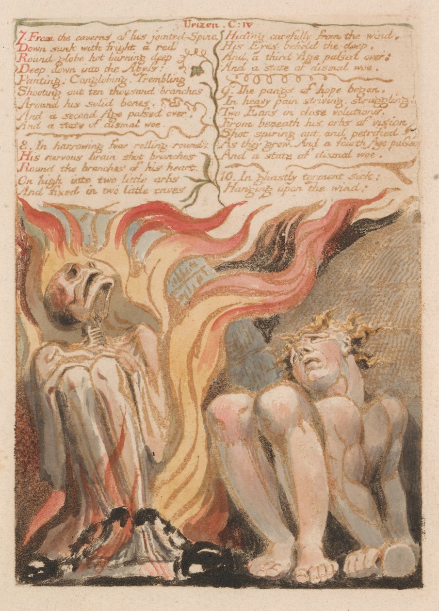 Urizenin ensimmäinen kirja, levy 14, 7. Hänen nivelten selkärangan luolista .... (Bentley 11) tekijältä William Blake