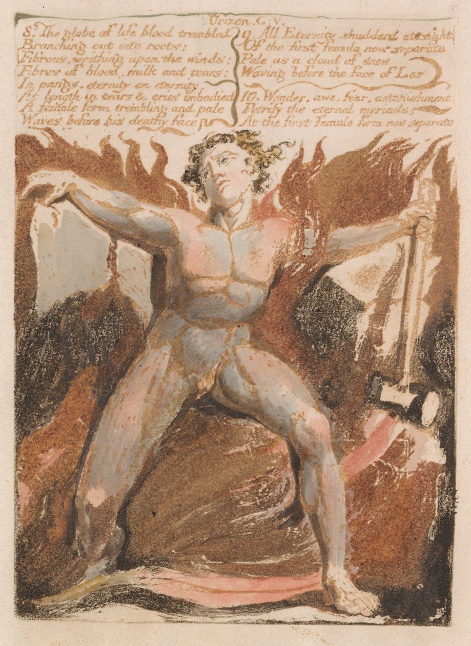 Urizenin ensimmäinen kirja, levy 17, 8. Elämän maapallo verta vapisi ... (Bentley 18) tekijältä William Blake