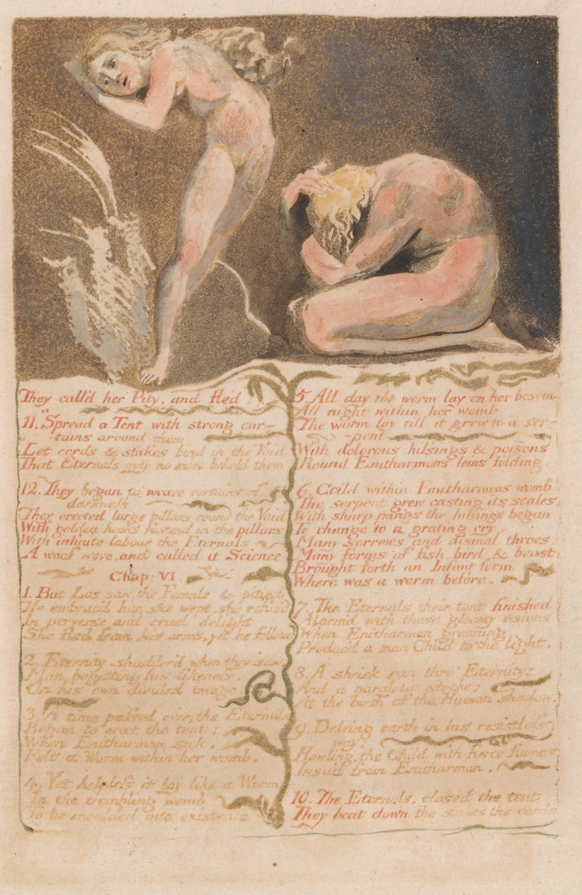 Urizenin ensimmäinen kirja, levy 19, he kutsuivat häntä sääliksi ja pakenivat .... (Bentley 19) tekijältä William Blake