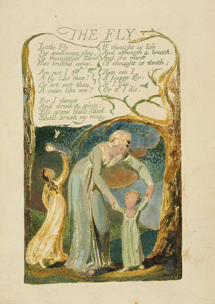 "The Fly", levy 47 julkaisusta "Songs of Experience", 1794 (väripainettu kohokuvio vesiväreillä) tekijältä William Blake