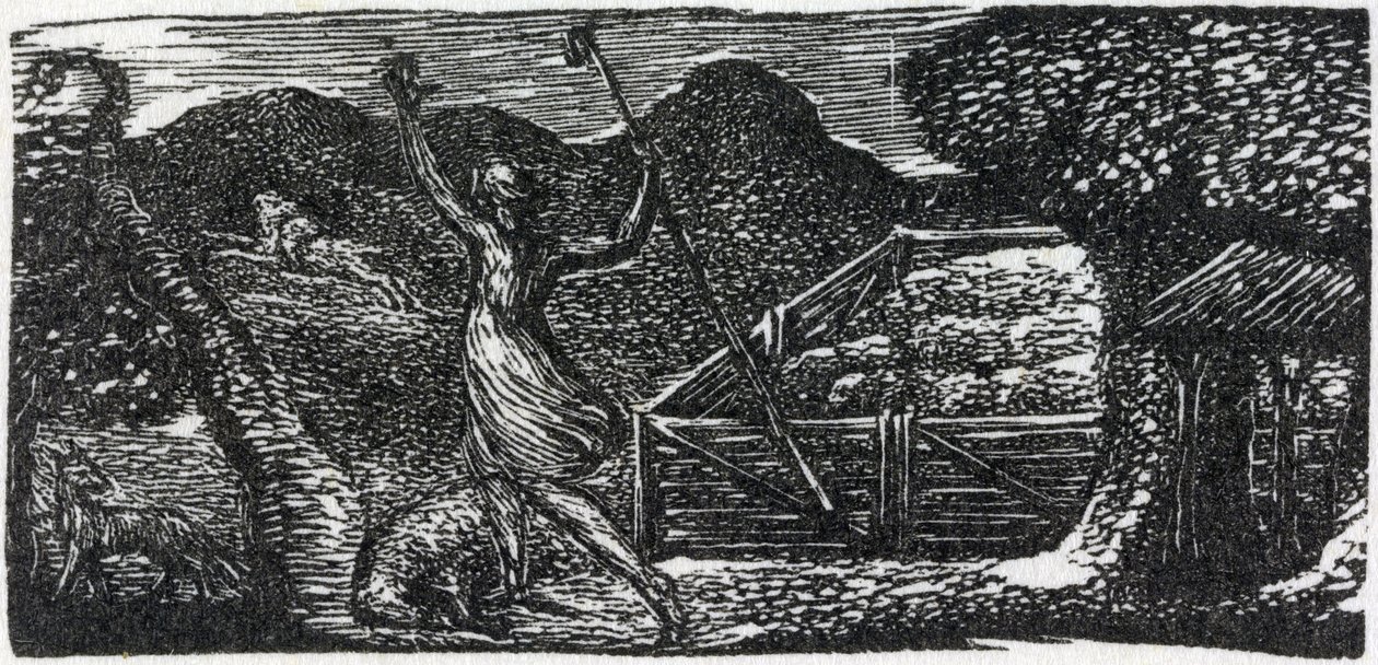 Hyvä paimen ajaa suden pois, esimerkki tohtori Thorntonin teoksesta "Vergiliusin paimenet" tekijältä William Blake