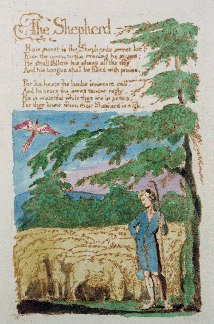 Paimen, teoksesta Songs of Innocence, 1789 (värillinen etsaus) tekijältä William Blake
