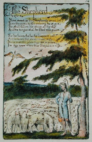 The Shepherd, kuvitus teoksesta Songs of Innocence and of Experience, (Bentley Copy L) pl.14 (Bentley 5) 1789-94 (reliefietsaus kynällä ja wc:llä paperille) tekijältä William Blake