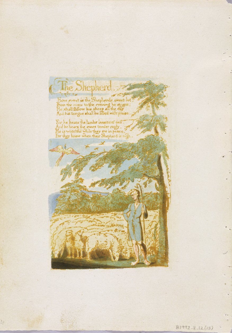 "The Shepherd", levy 15 julkaisusta "Songs of Innocence", 1789 (reliefisyövytys wc:llä paperille) tekijältä William Blake