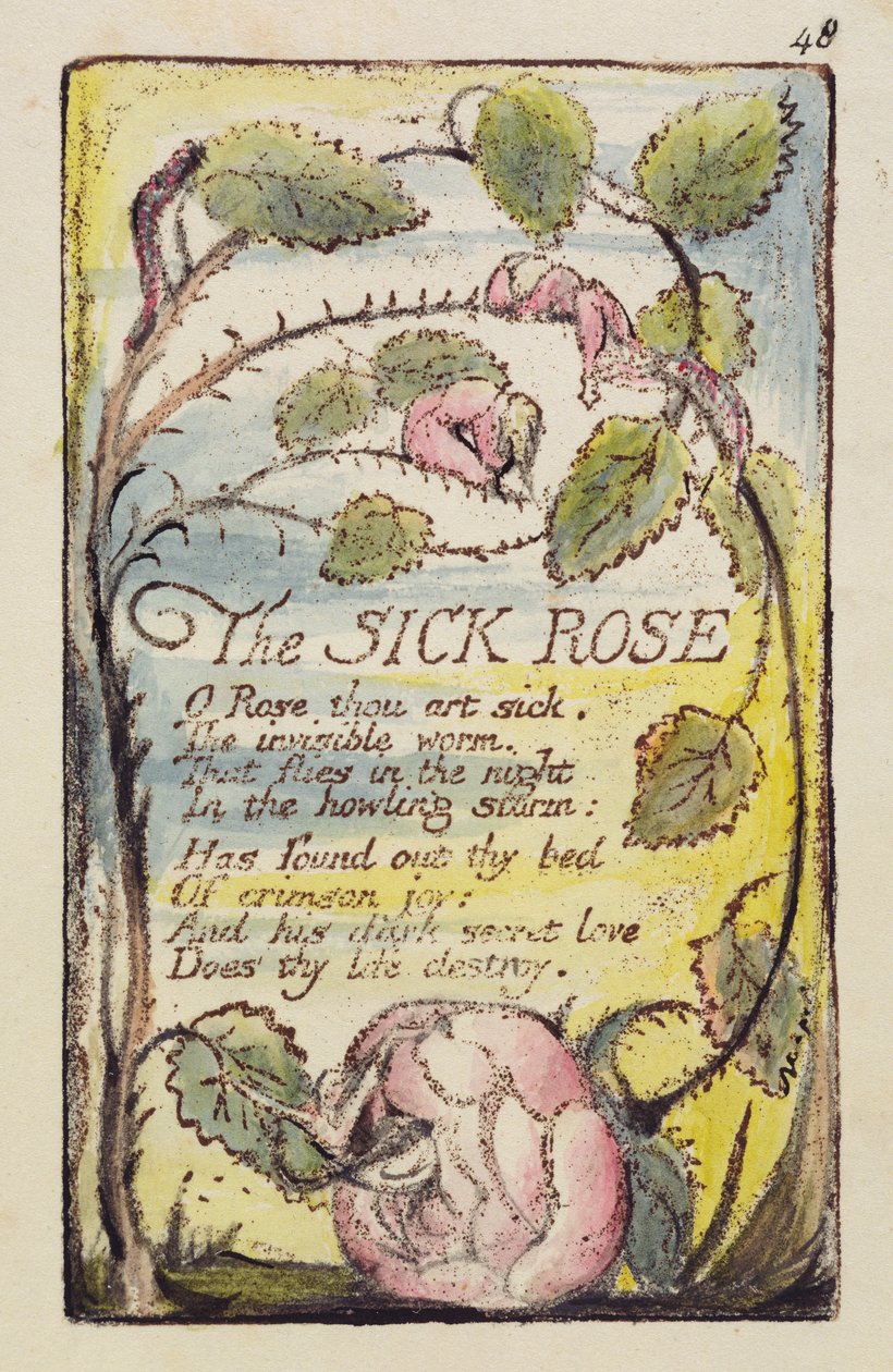 "Sairas ruusu", levy 48 julkaisusta "Songs of Innocence and of Experience" [Bentley 39] n. 1789-1794 (reliefietsaus tummanruskealla kynällä, musteella ja wc:llä) tekijältä William Blake