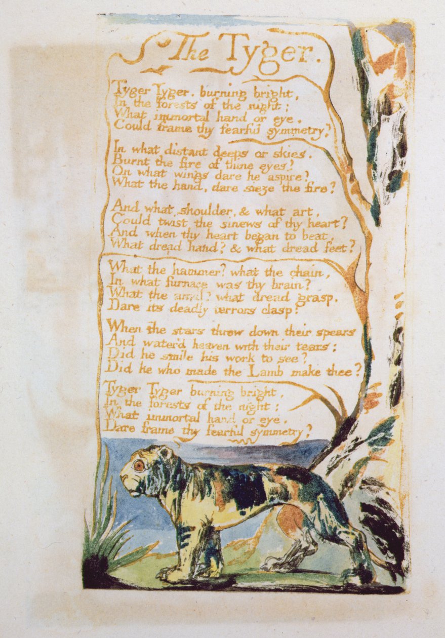 Tyger, Songs of Innocencesta tekijältä William Blake