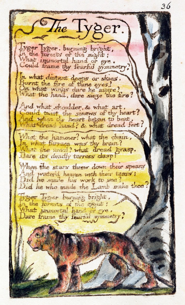 "The Tyger", levy 36 (Bentley 42) teoksesta "Songs of Innocence and of Experience" (Bentley Copy L) 1789-94 (reliefietsaus kynällä ja wc:llä) tekijältä William Blake